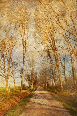 old-fashioned landscape