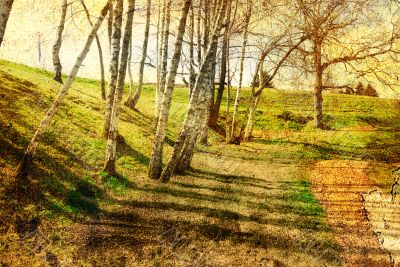 old-fashioned landscape