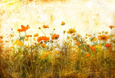 old-fashioned landscape