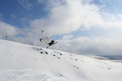 Ski Jump