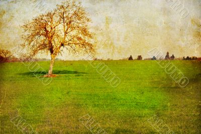 old-fashioned landscape