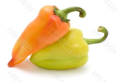 cayenne on white