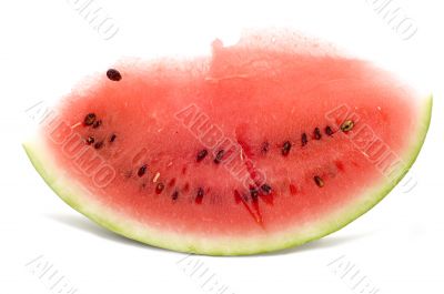 lobule watermelon