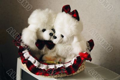 toy dogs toy dogs