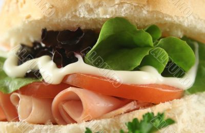 Ham And Salad Roll 6