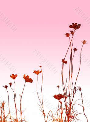 floral style textures