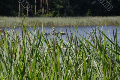 boat on lake