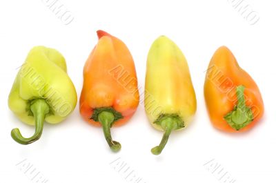 four cayenne
