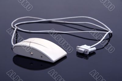 white mouse white mouse