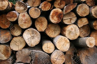 firewood background