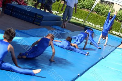 Little gymnasts