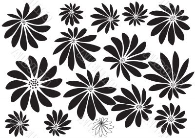 Abstract Flower Pattern Abstract Flower Pattern