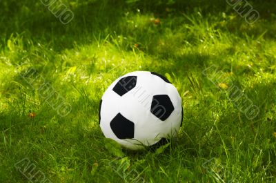 Plush football ball on the grass