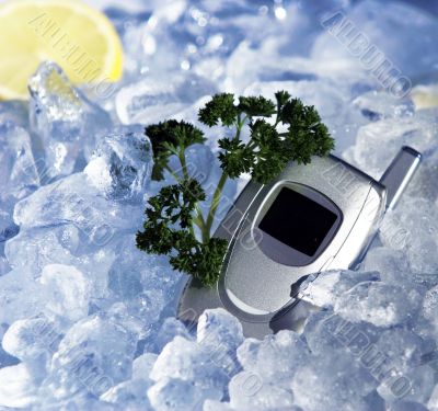 Cell phone on ice