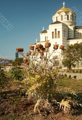 Chersonese. The end of summer Chersonese. The end of summer