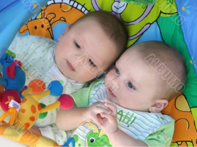 Twin baby boys