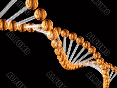 3d genetic code 3d genetic code