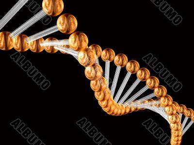 3d genetic code