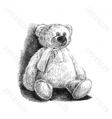 toy bear