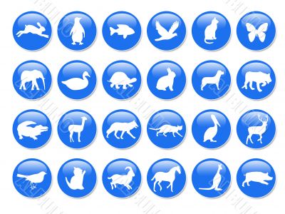 Blue icons with animal shapes,vector,pet