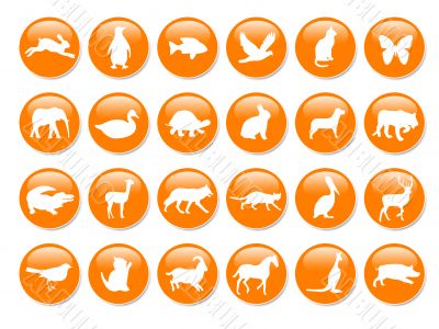 Orange icons with animals silhouettes