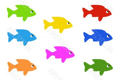 fish with many colours fish with many colours