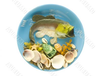 Fish on plate with shells Fish on plate with shells