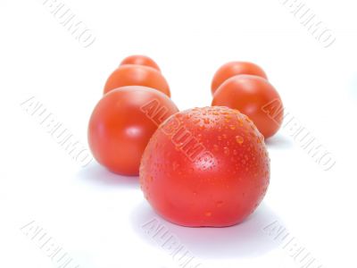 Red tasty isolated tomatoes