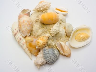 An isolated heap of unique shells