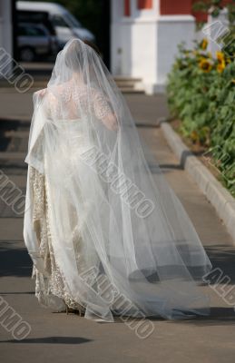 Beautiful bride