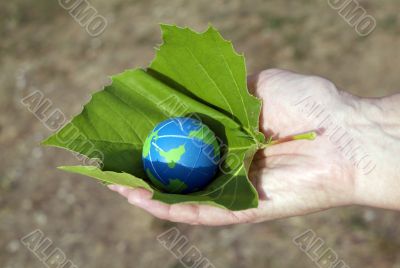 preserve the environment