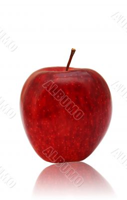 apple, calorie, fresh, garden, food