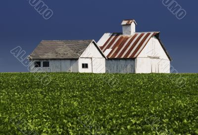 Farm Buildings