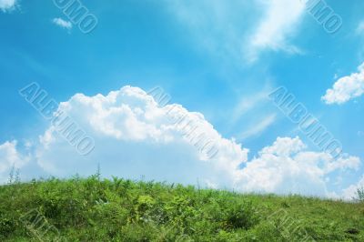 Beautiful Cloudscape and meadow