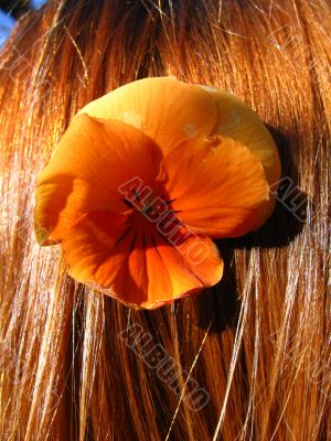 Girl`s hair and orange flower