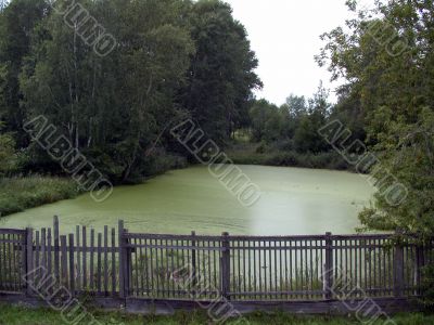 abandoned pond