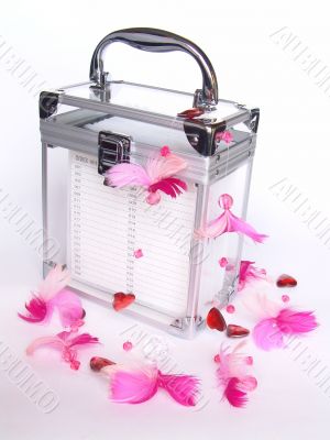 Transparent CD-Box Transparent CD-Box