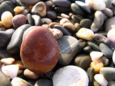 Wet sea stones