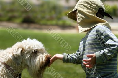 Boy feeding his dog