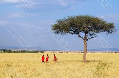 Maasai at walk.