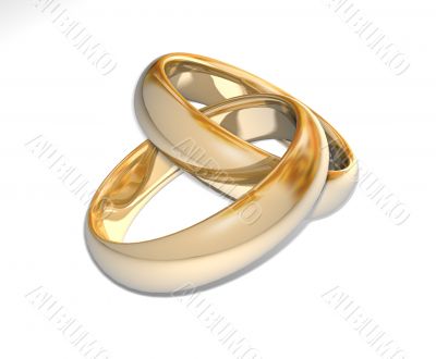 Wedding rings 3D