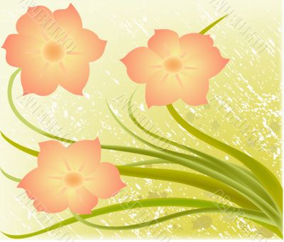 Abstract  floral background  vector illustration