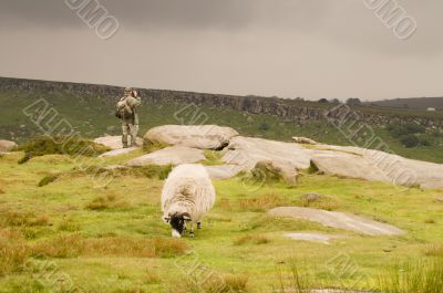 Farmland in the Lake District