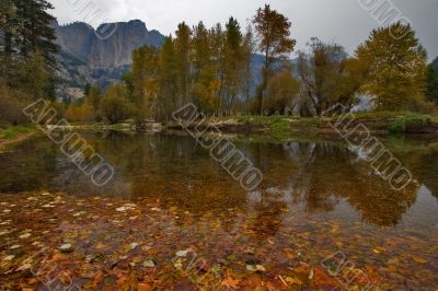 Fall of the leaf