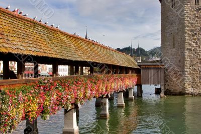 Flowers bridge