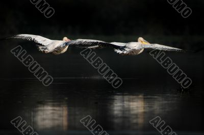 Couple flight.