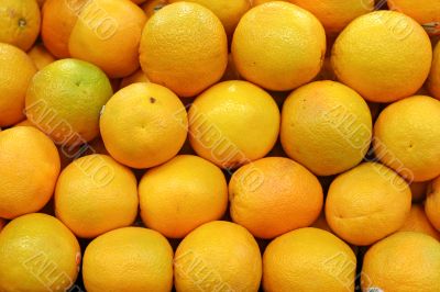 Valencia Oranges