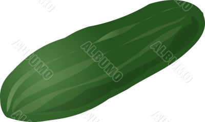 Cucumber