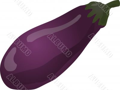 Eggplant