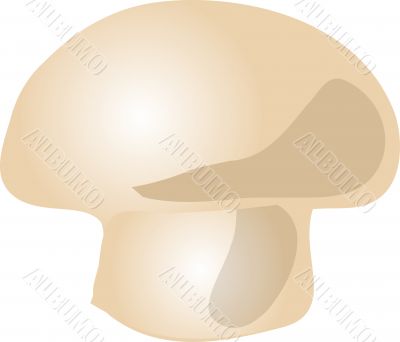 Mushroom